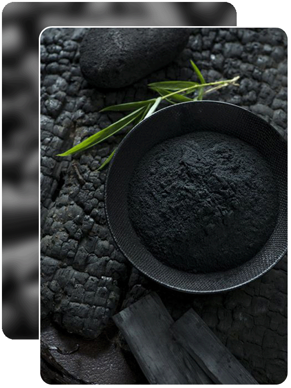 Activated Carbon, Manufacturer, Suppliers and Exporter From udaipur